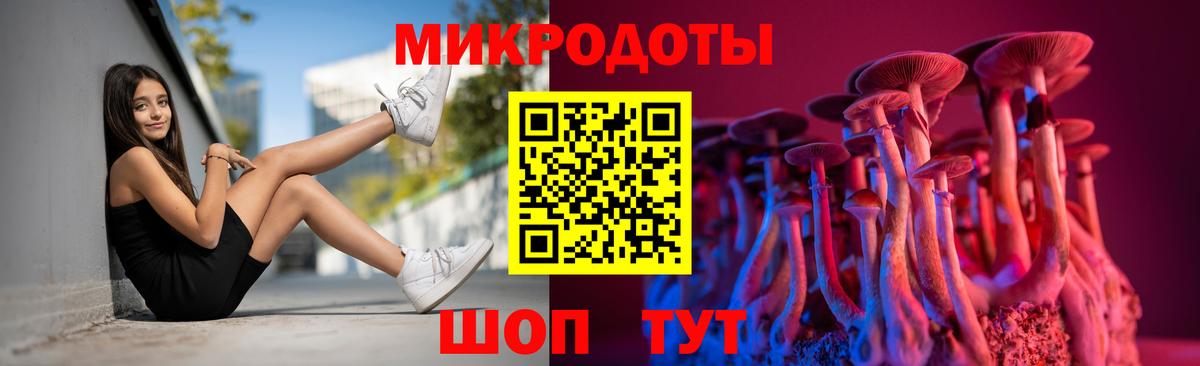 закладка  Вход с VPN  Артёмовский  Псилоцибиновые грибы Psilocybe 